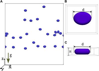 Energy spectra of buoyancy-driven bubbly flow in a vertical Hele-Shaw cell